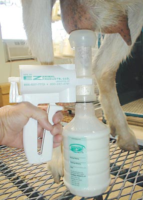 KIT DE ORDENHA MANUAL PARA OVINOS E CAPRINOS 1