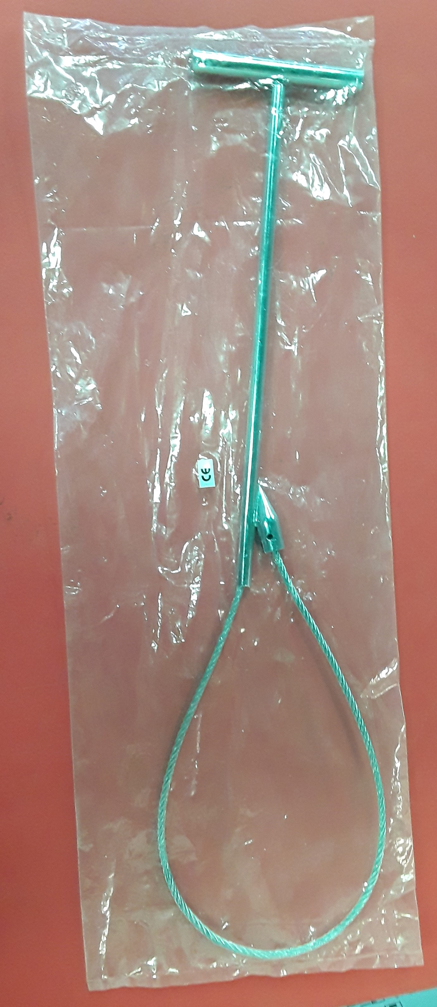 FOCINHO DE PORCO CURTO