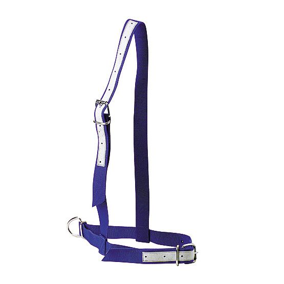 CABEZADA CON COSTURA PARA VACAS AZUL