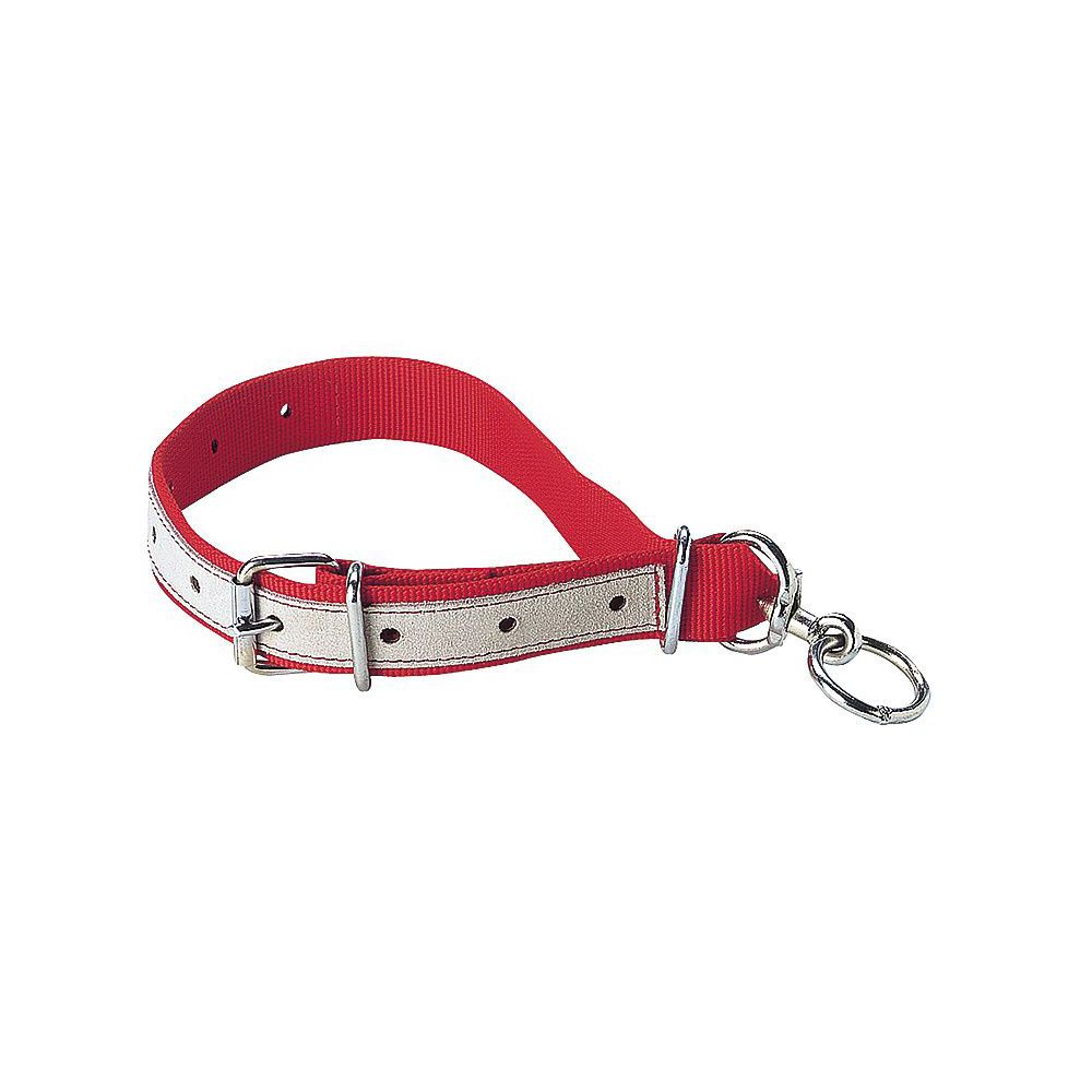 COLLAR TERNERO NYLON-CUERO ROJO