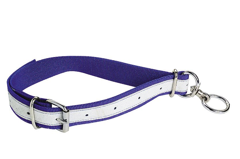 COLLAR TERNERO NYLON-CUERO AZUL