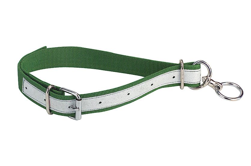 COLLAR TERNERO NYLON-CUERO VERDE