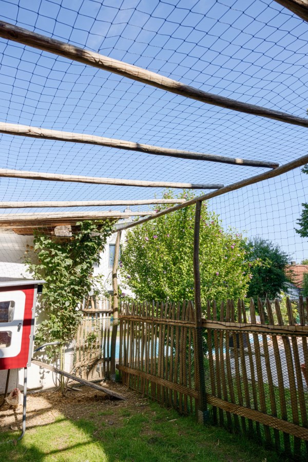 RED NEGRA PARA AVES DE CORRAL  10 MT X 20 MT 1