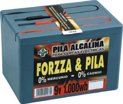 BATERIA DE PASTOR 9 V. 175 AH.
