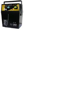 PASTOR CHALLENGE 350 COMPACT  ( PILA 9V - BATERIA 12V )