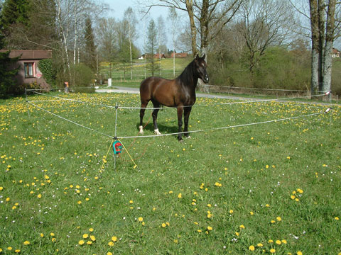KIT CAVALO 1