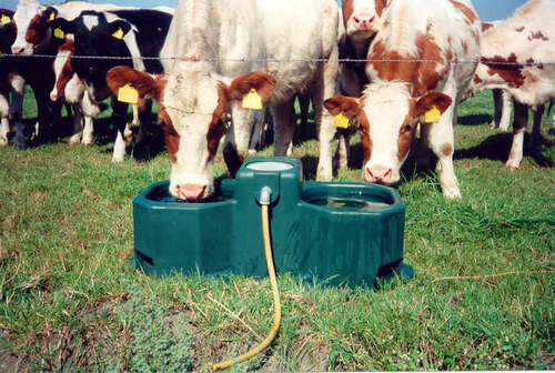 BEBEDOURO DUPLO SUEVIA WT80 BANCAS LIVRES 2