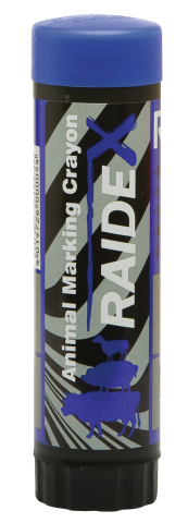 LAPIZ RAIDEX AZUL