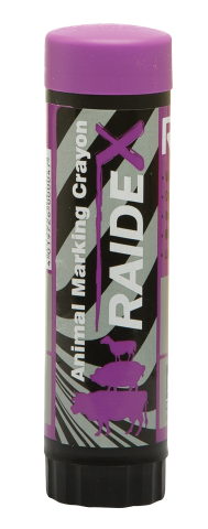 LAPIZ RAIDEX VIOLETA