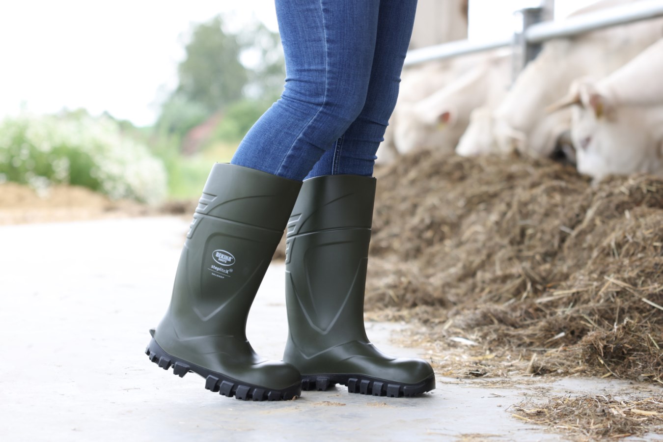 BOTAS BEKINA S5 STEPLITE X T.41 1