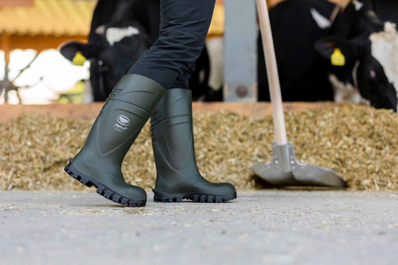 BOTAS BEKINA S5 STEPLITE X T.39 1