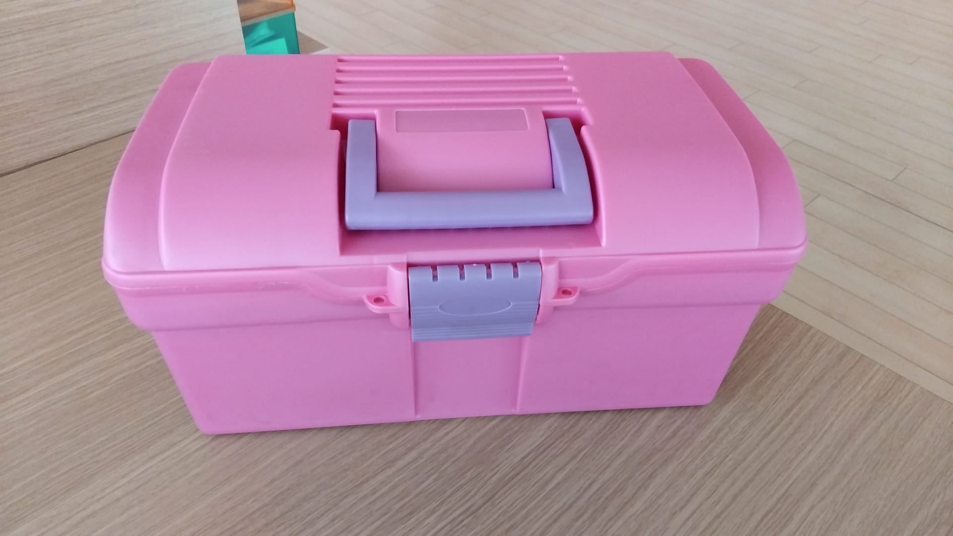 MALETIN DE LIMPIEZA ROSA 40x22x20CMS