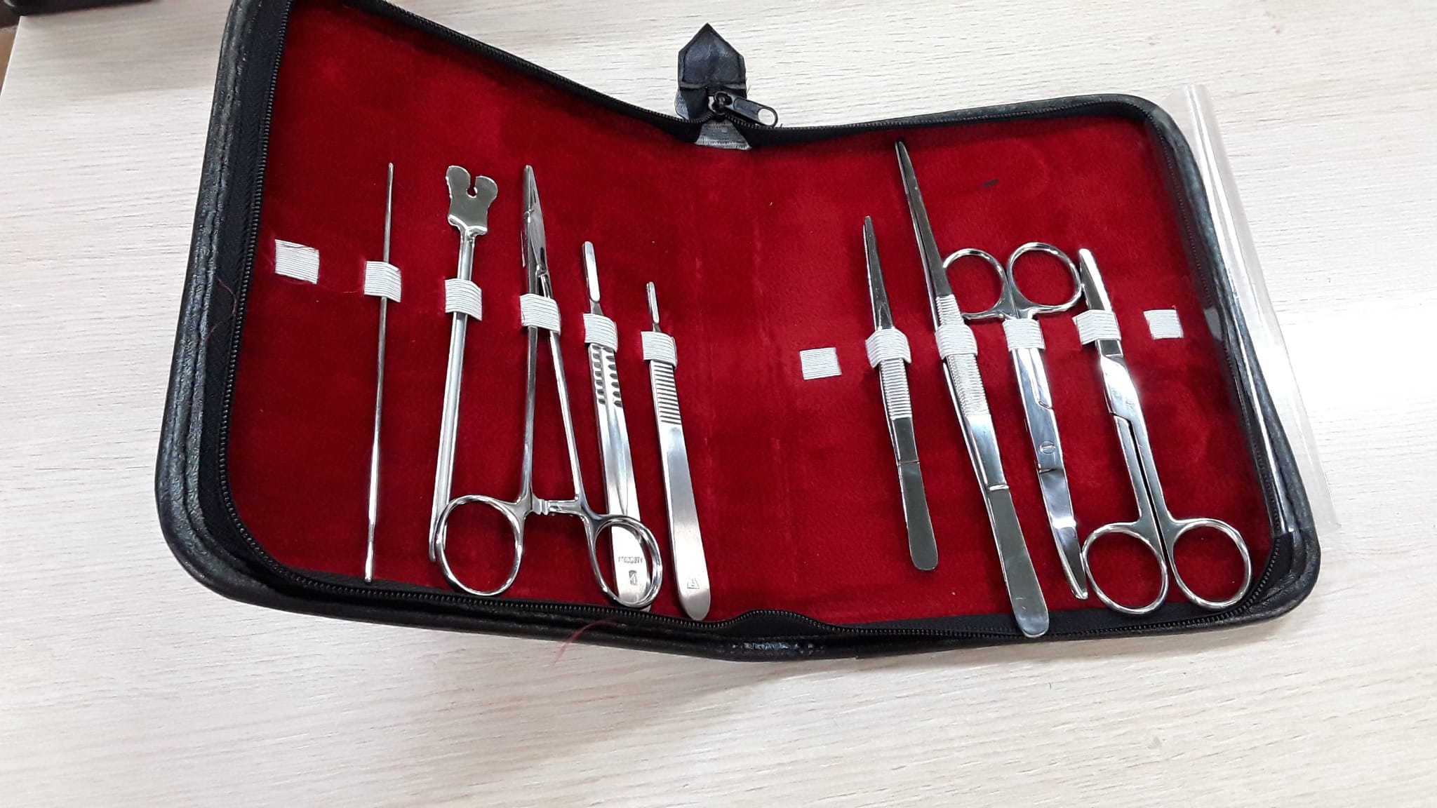 DISSECTION SET 9 PIECES