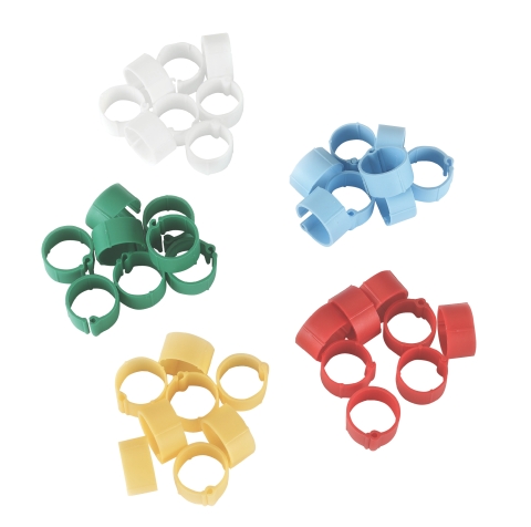 CLIP DE IDENTIFICAÇÃO DE PÁSSAROS 12 mm. 5 x 20 uni.