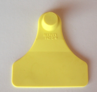 ALLFLEX FEMININO JÚNIOR S/NU. AMARELO