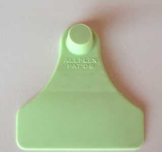 ALLFLEX FEMININO JÚNIOR S/NU. VERDE
