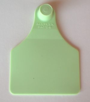 ALLFLEX SENIOR FEMALE NUMBERED GREEN