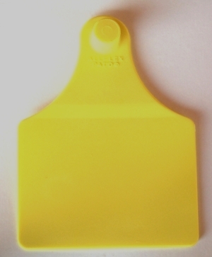 ALLFLEX FÊMEA MAXI NUMERADA AMARELO