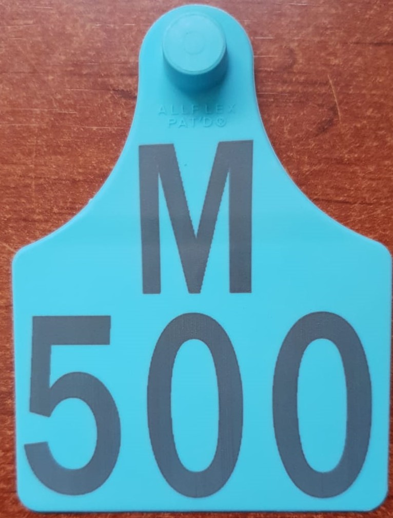 ALLFLEX FÊMEA MAXI NUMERADA AZUL