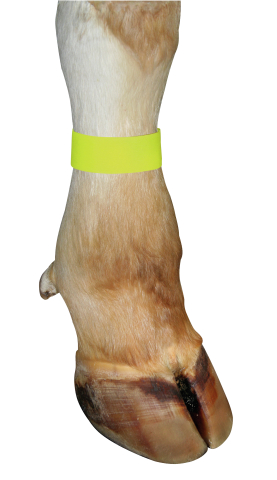 BRACELETE COM FECHO DE VELCRO AMARELO 10 PCS. 1