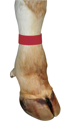BRACELET VELCRO CLOSURE RED 10 UNI. 1