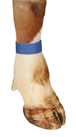 BRACELETE COM FECHO DE VELCRO AZUL 10 UNI. 1