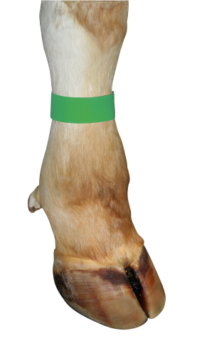 BRACELET VELCRO CLOSURE GREEN 10 UNI. 1