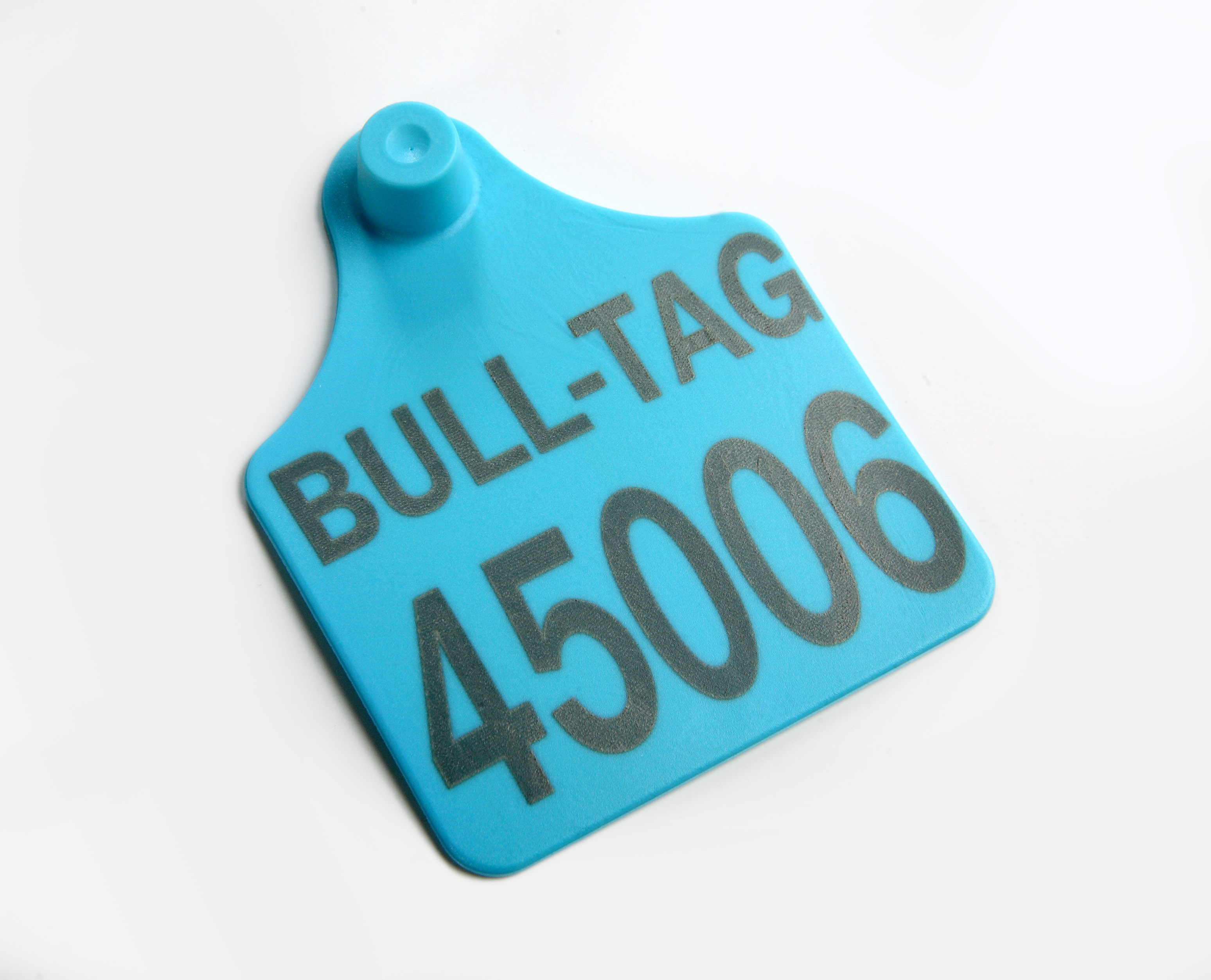 BULL-TAG FÊMEA AZUL NUMERADA