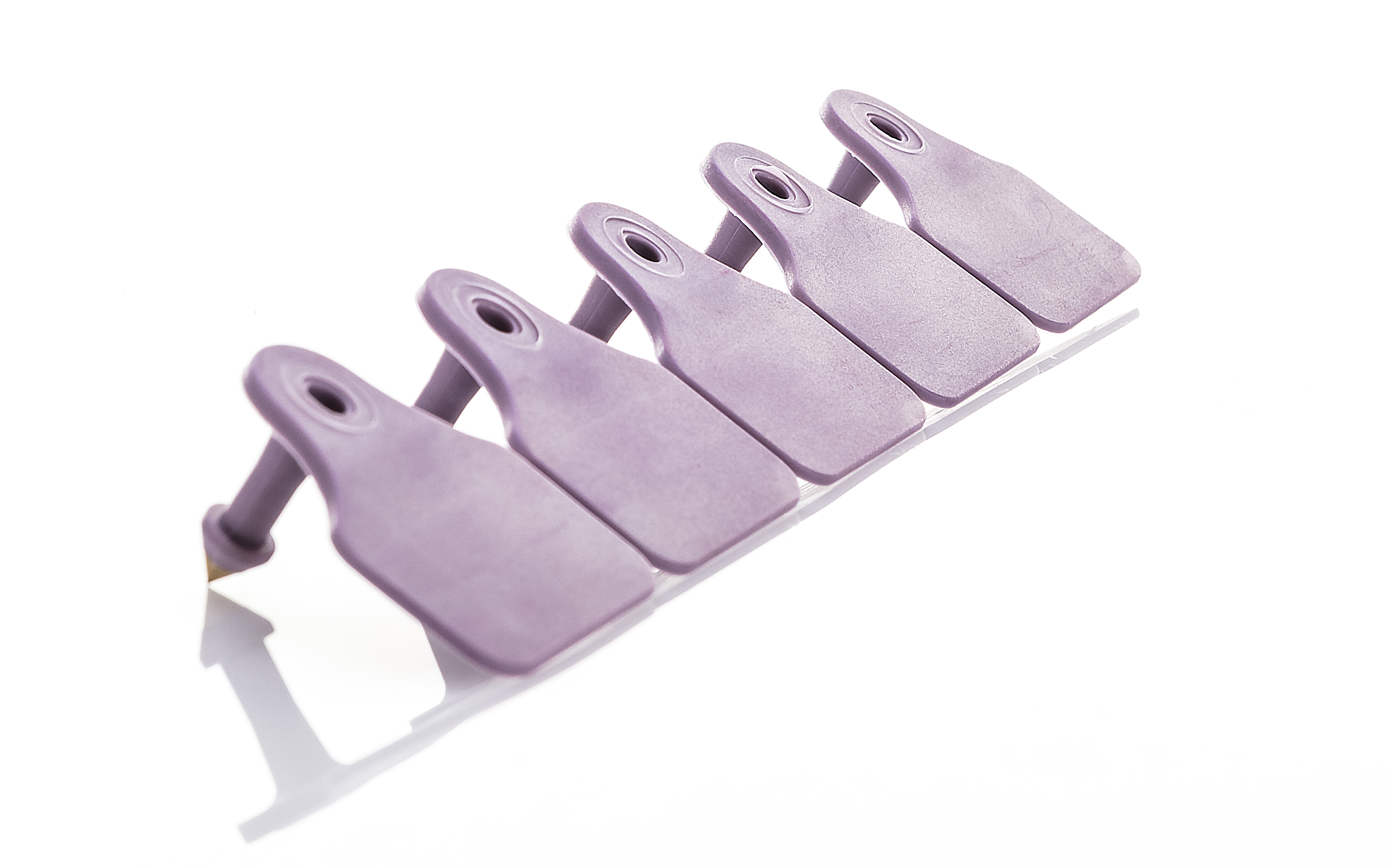 OVI-TAG MACHO F/METAL VIOLETA NUMERADO
