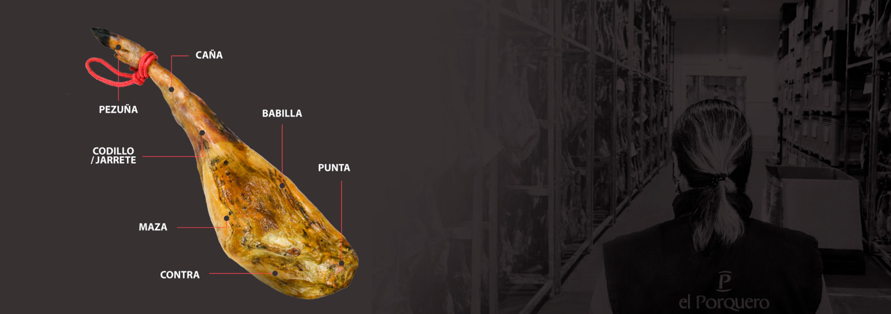 Partes del jamón 