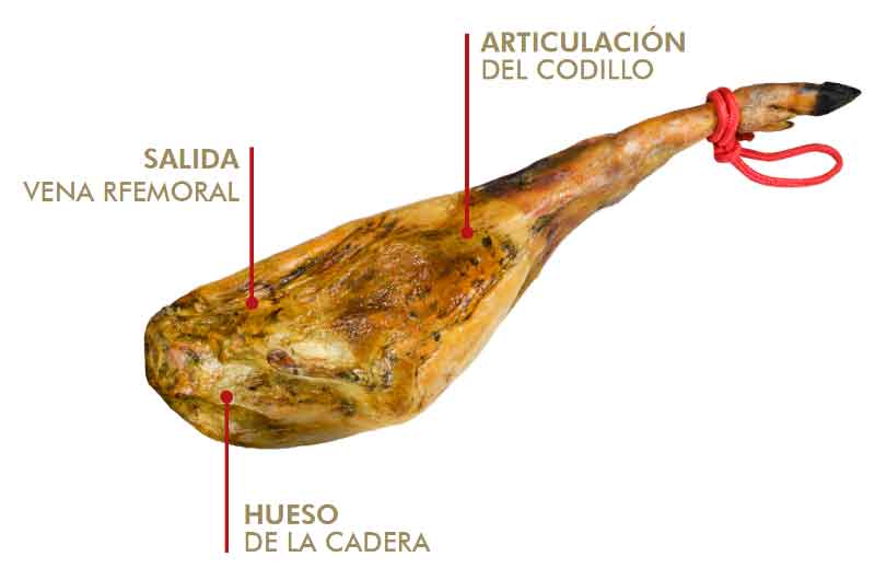 Donde calar un jamón