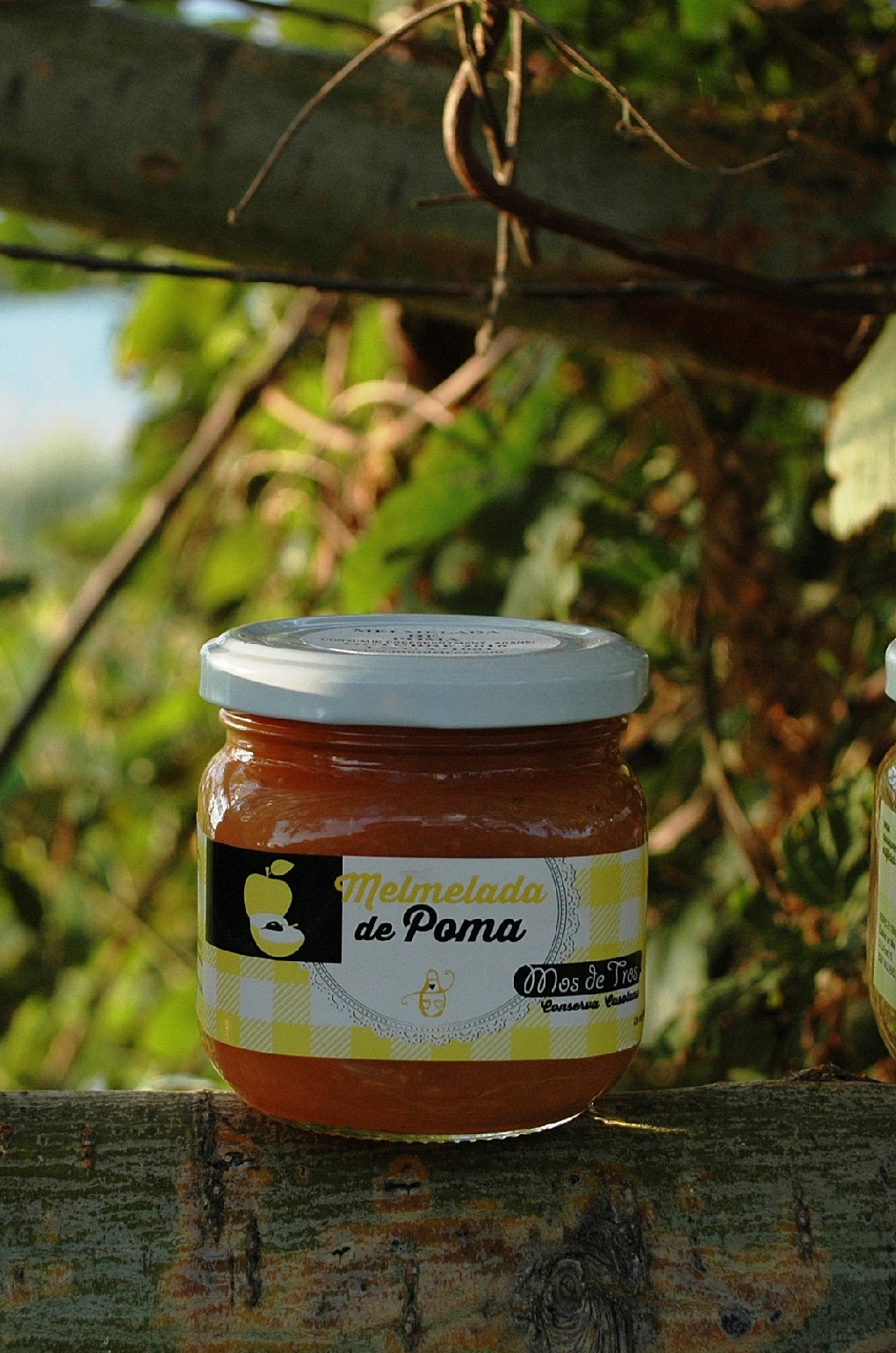 Melmelada artesana de poma 3