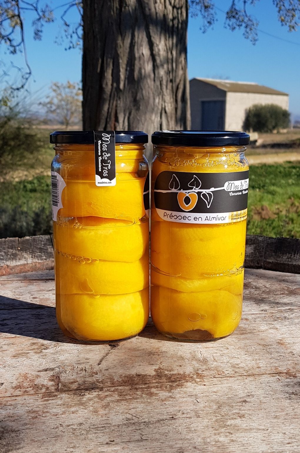 Préssec en almívar 2