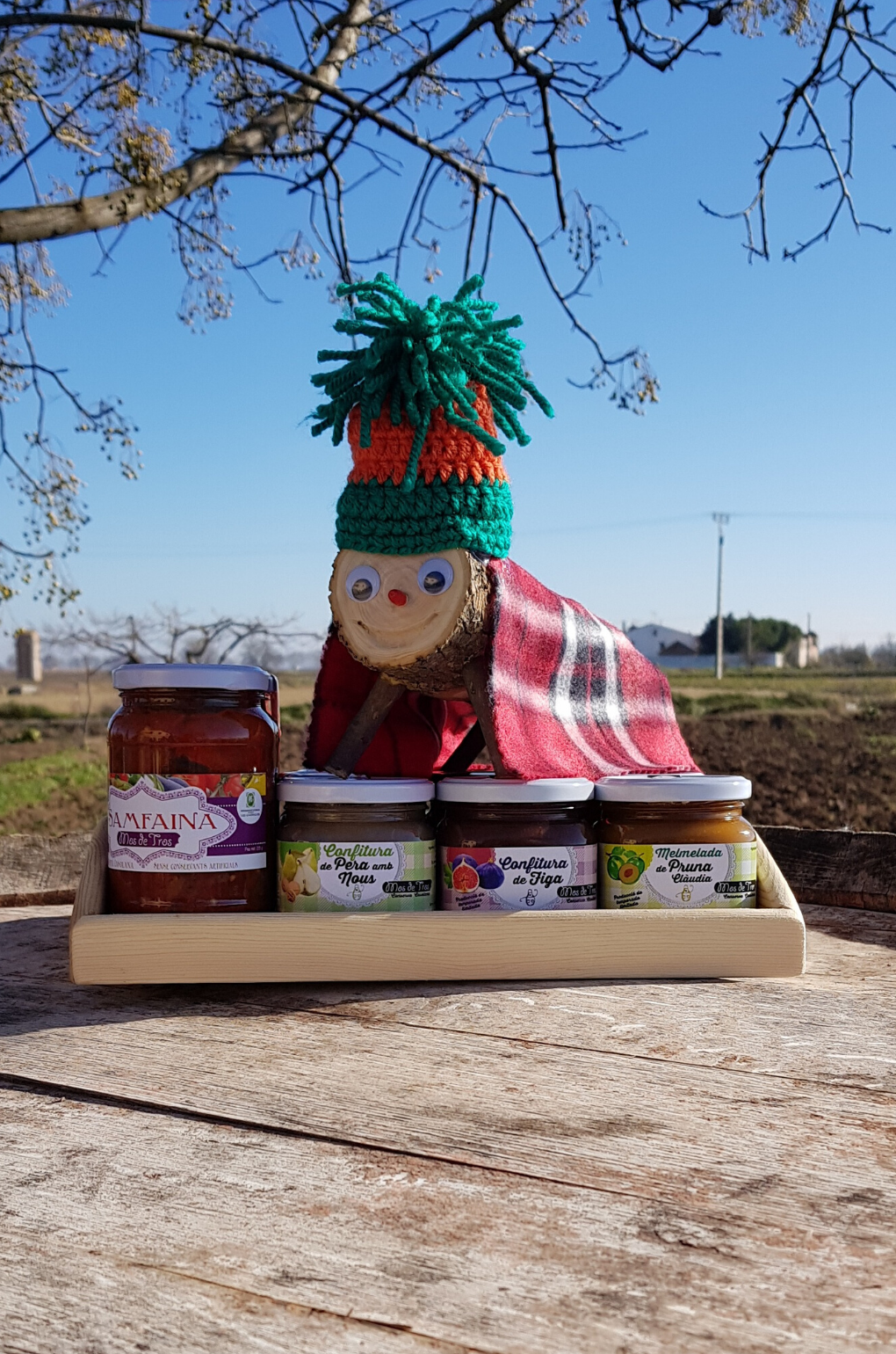 Lot de Nadal 12 conserves artesanes + tió de Nadal (Safata)