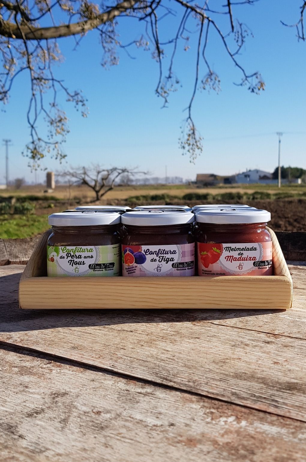 Melmelades Artesanes 9 unitats en safata de fusta