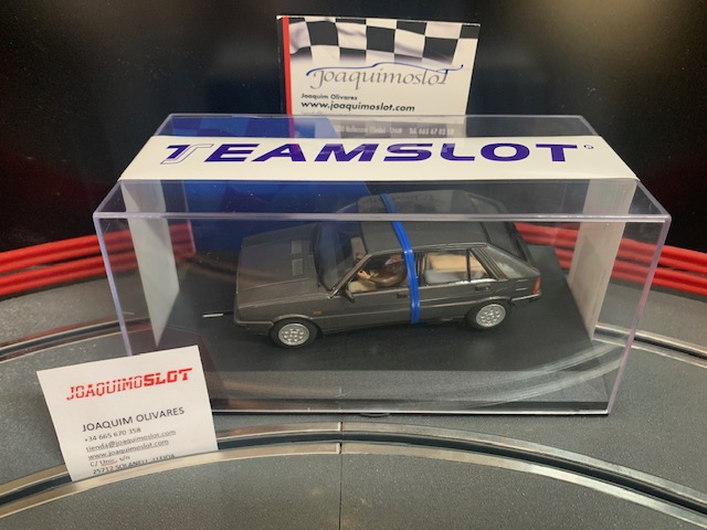 Teamslot 12902 Delta HF 4WD Grey