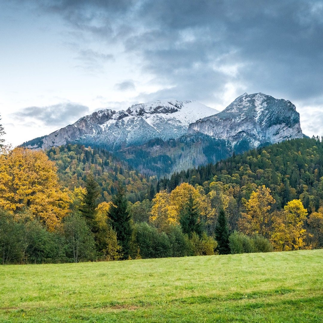 ¿Qué es Lorem Ipsum?