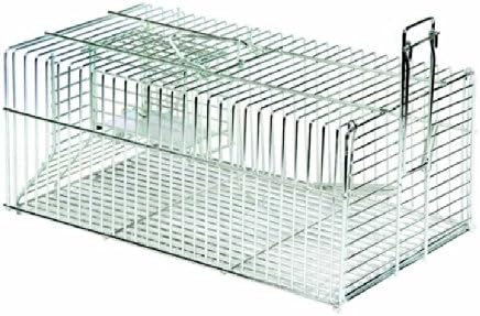 TRAMPA CINC RATAS 350X200X150 71003 FLORES