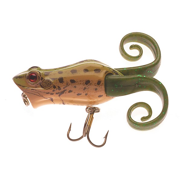 FRENZY POP FROG POPPER 6CM LEOPARDFROG
