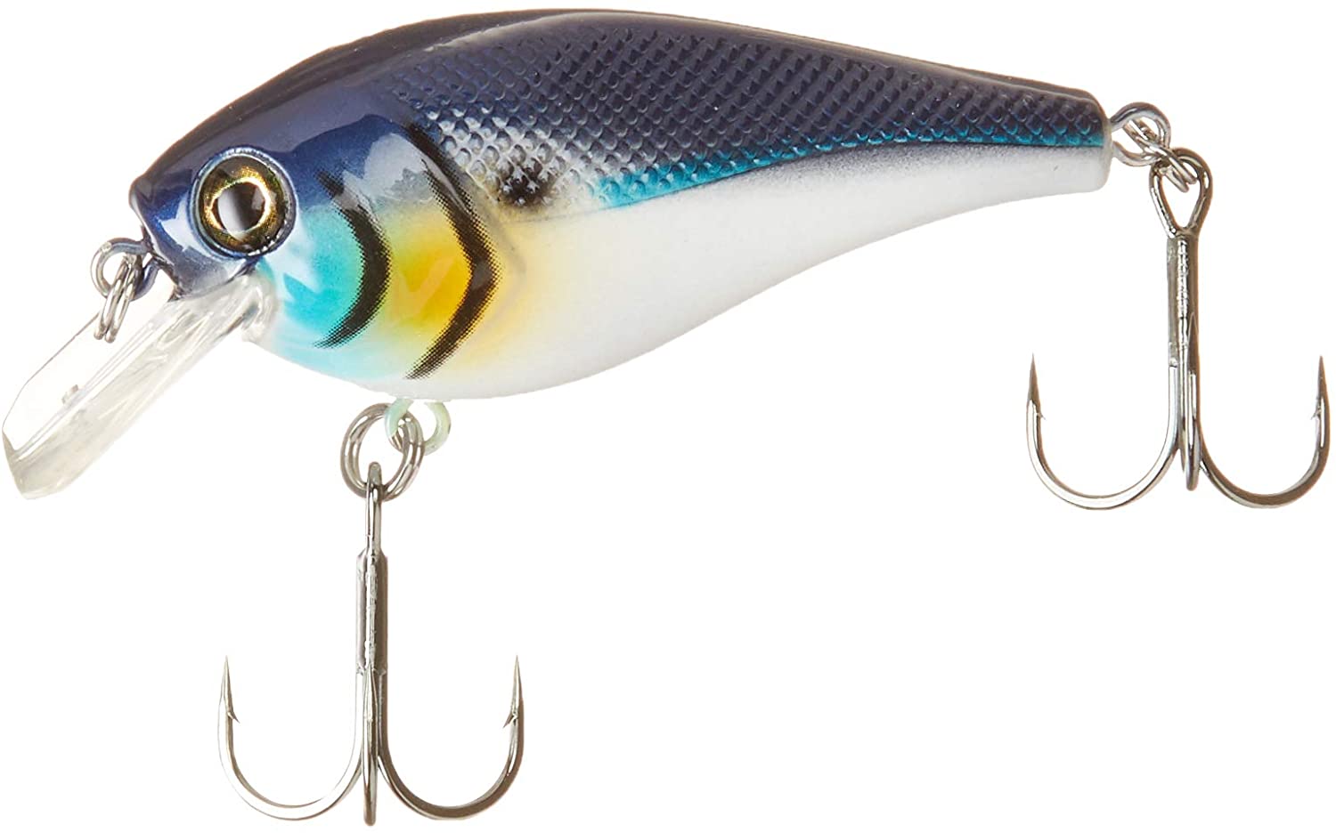 BERKLEY SQUARE BULL 6CM BLUE BACK