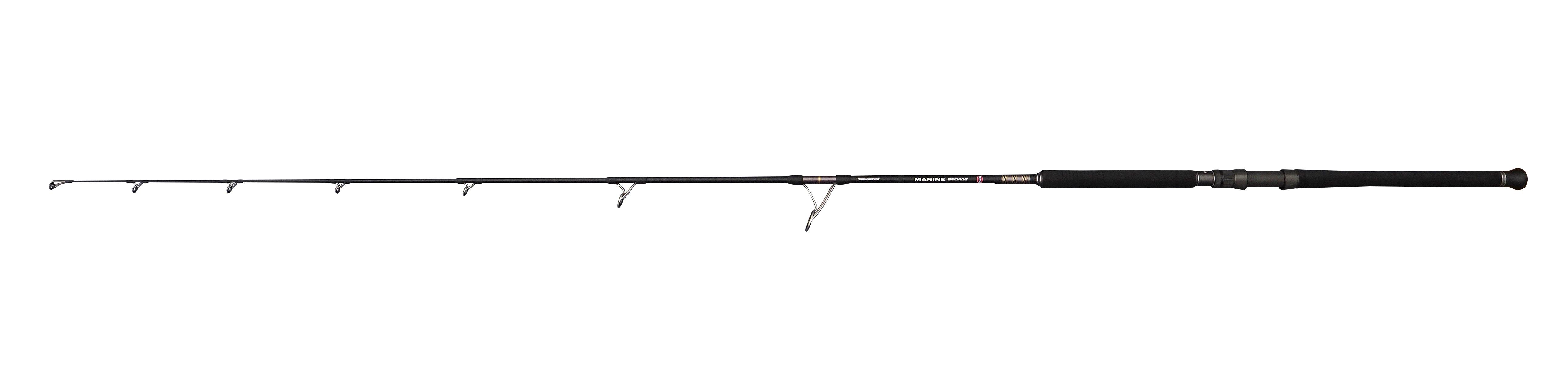 CAÑA PENN MARINE BRIGADE OffshoreCast 240 Max 100g 8ft 40-65LB