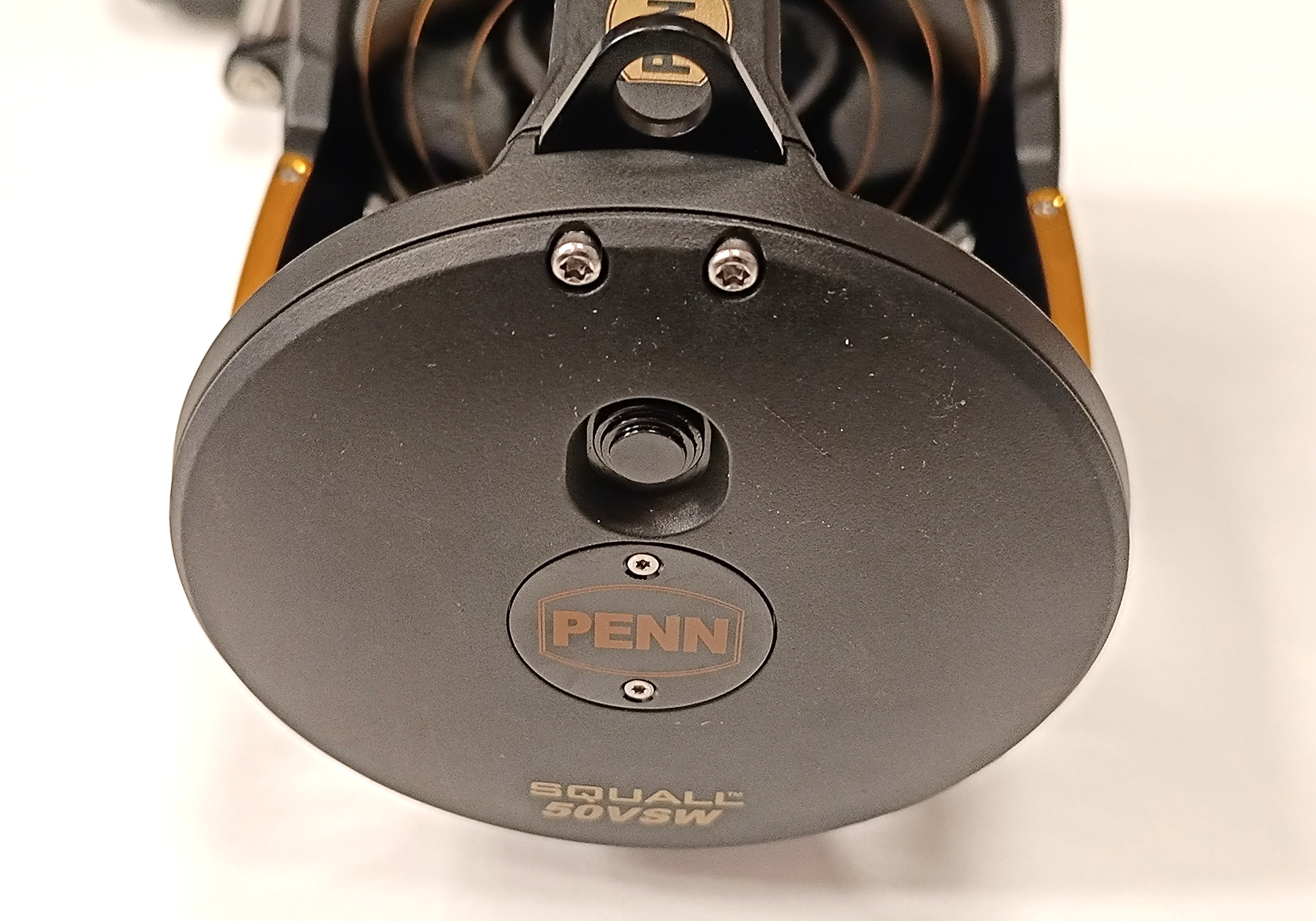 CARRETE PENN SQUALL SQ-50VSW-LD 2-SPEED