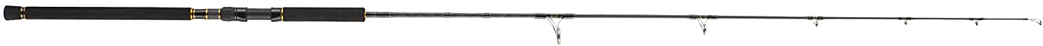 CAÑA ABU GARCIA OCEANFIELD JIGGING 60-180