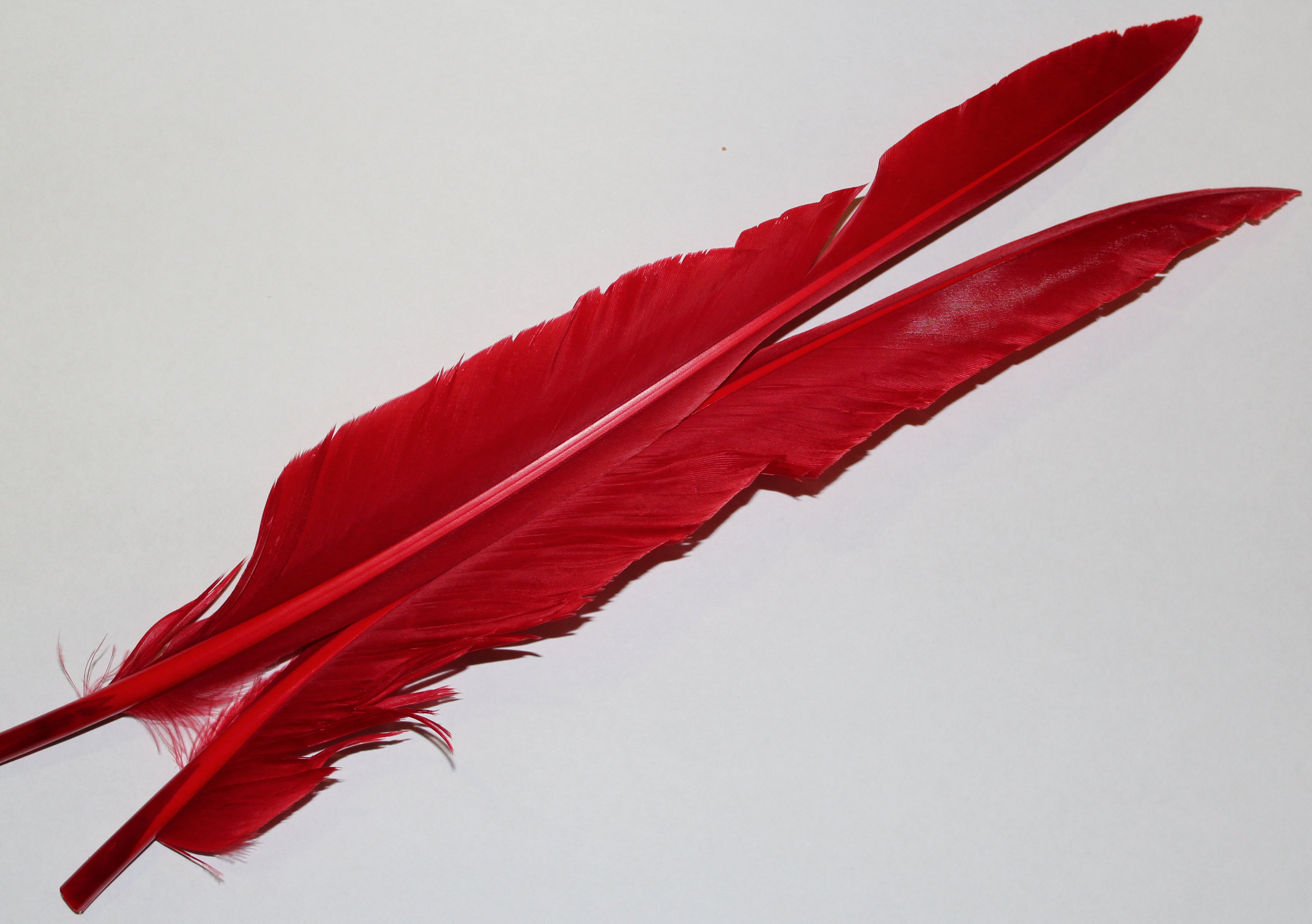WAPSI GOOSE QUILL ROJO