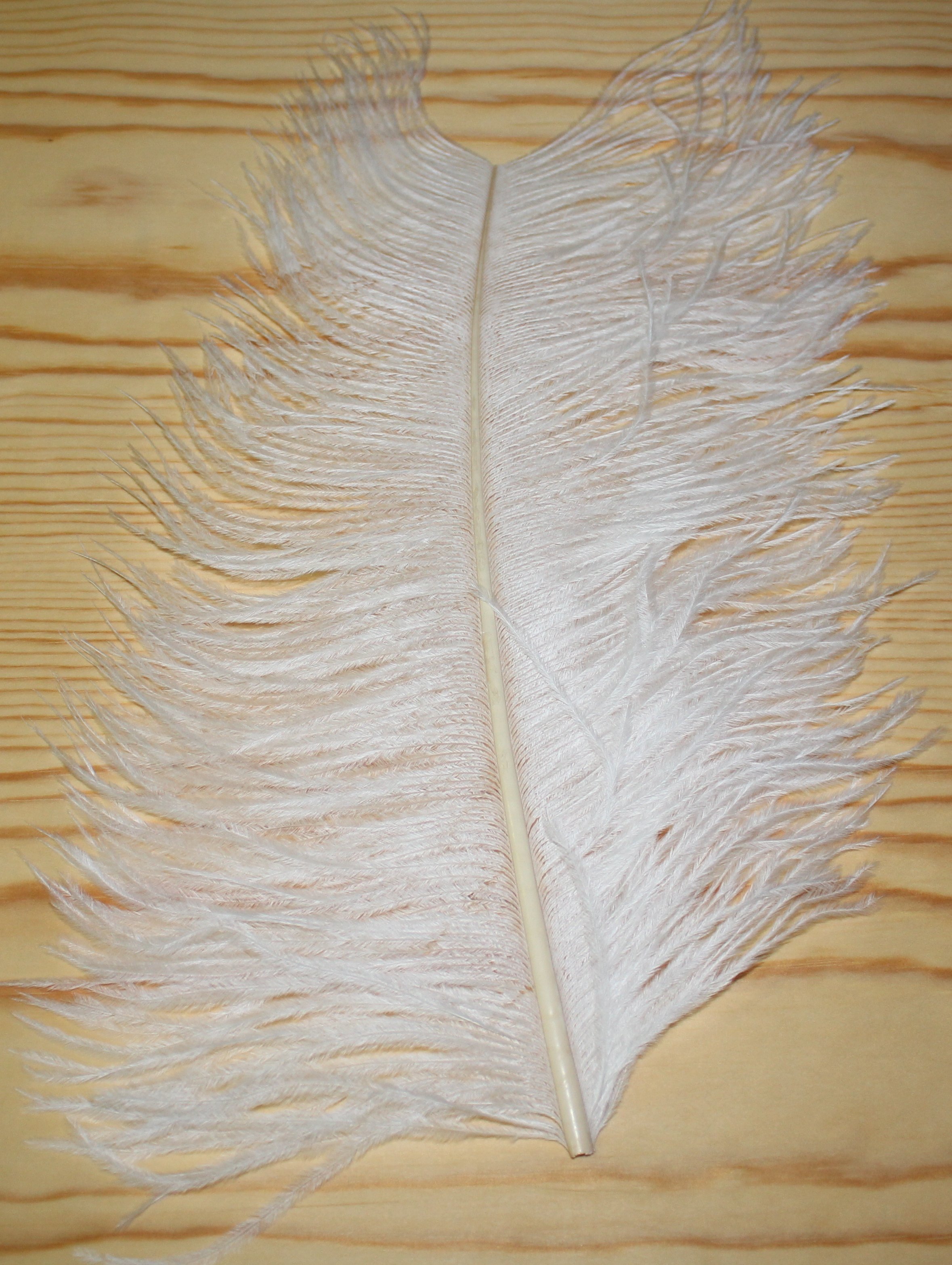 WAPSI PLUMA AVESTRUZ, WHITE