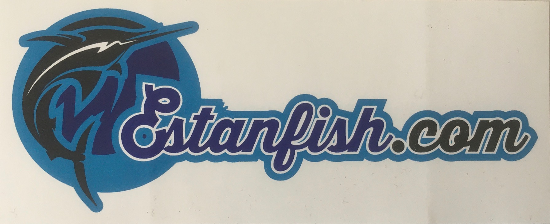 ADHESIVO ESTANFISH 10X4cm