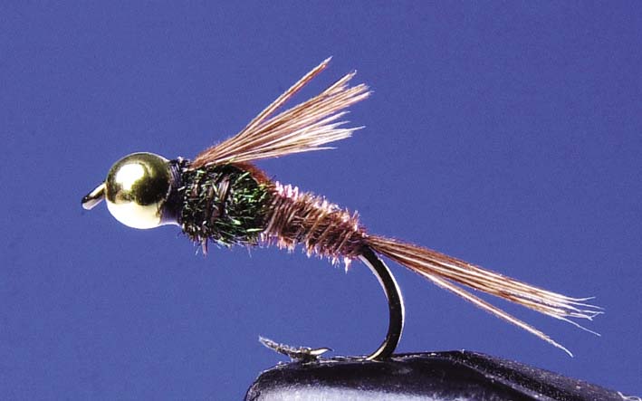 TKL NINFA B HEAD PHEASANT TAIL Nº12