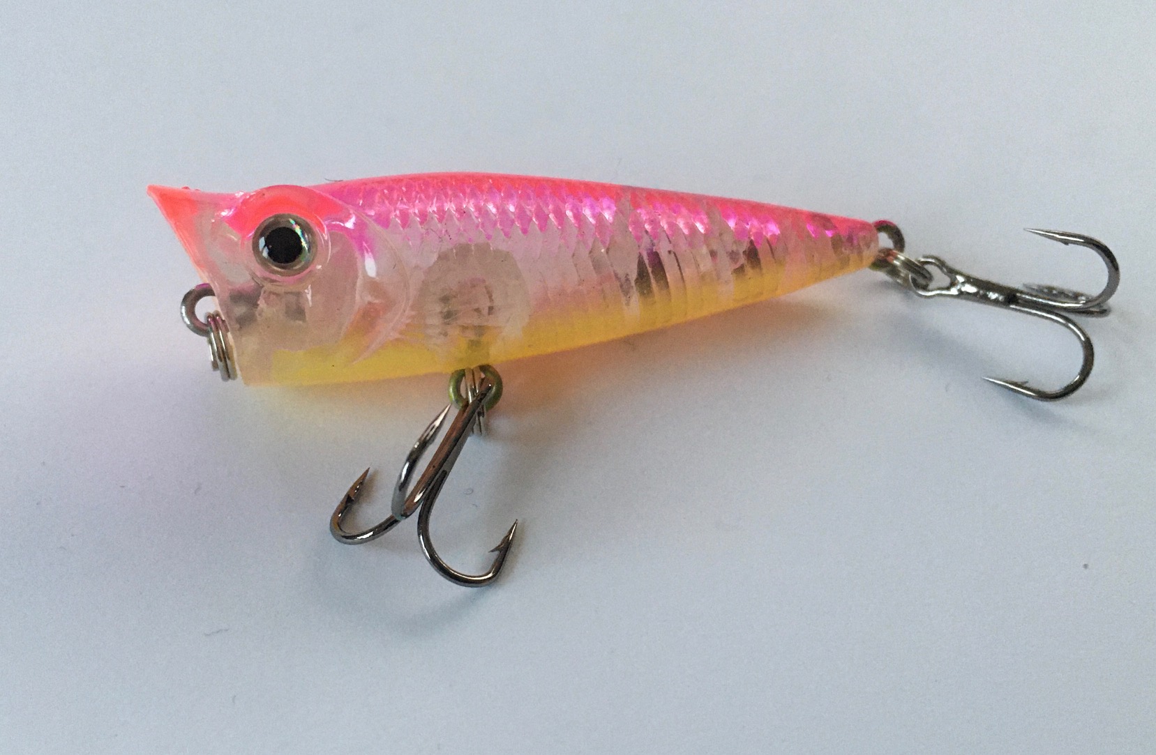 POPPER TITAN SPORT KINGSTON 50 8