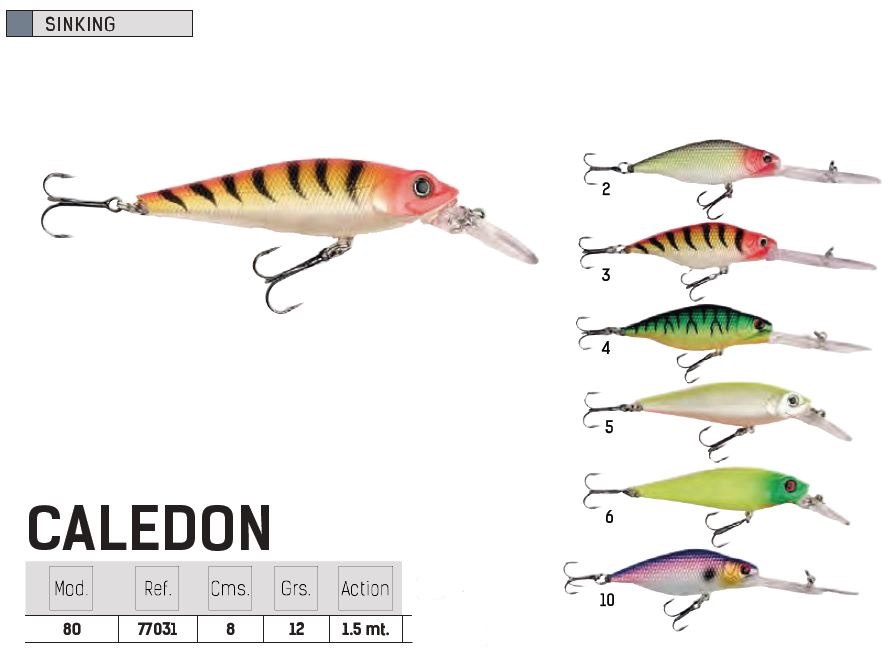 PEZ TITAN SPORT CALEDON 80 4