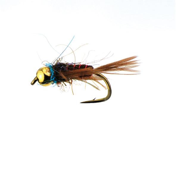 BF CABEZA DORADA VINO BRINCA 12